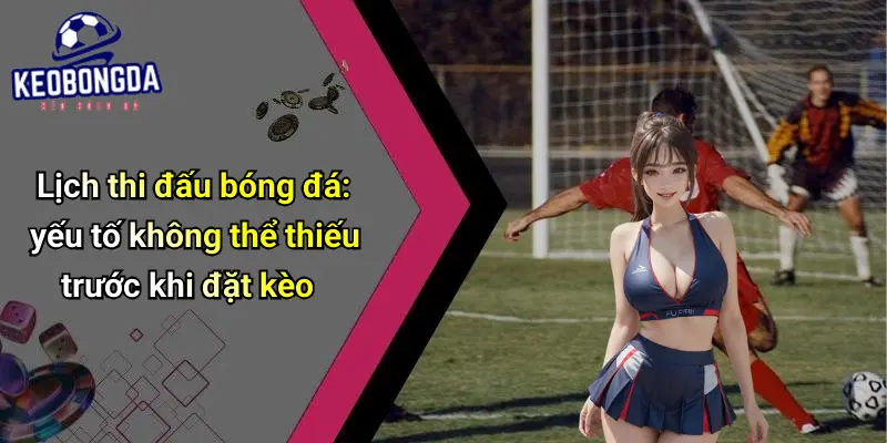 Lịch thi đấu 31 Lịch Thi Đấu