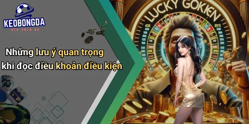 Điều Khoản Điều Kiện 3 Điều Khoản Điều Kiện