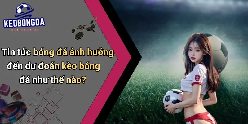Tin Tức Bóng Đá