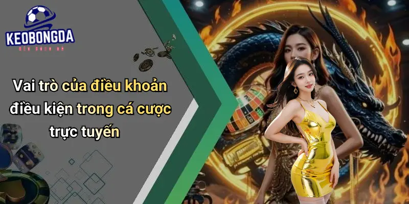 Điều Khoản Điều Kiện 1 Điều Khoản Điều Kiện