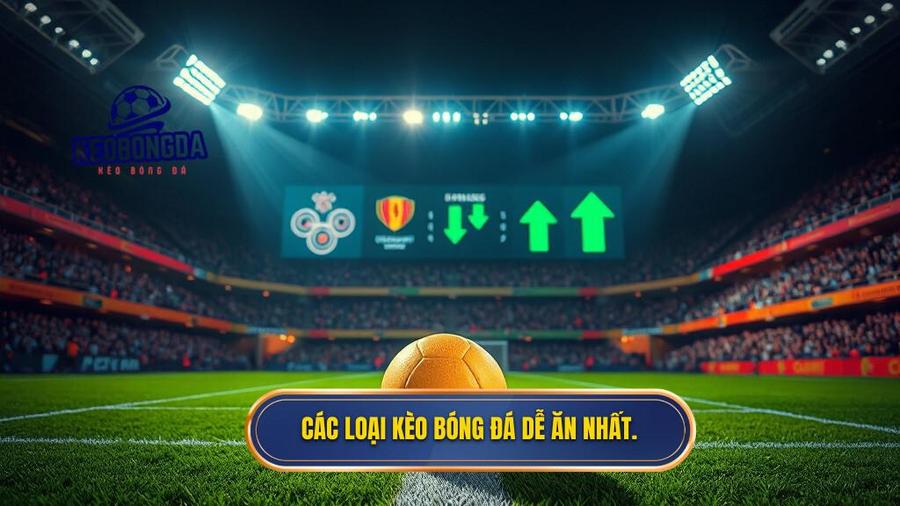 Kèo bóng đá nào dễ ăn nhất hiện nay? Cẩm nang thắng cược cho người mới 2 Các loại kèo bóng đá dễ ăn nhất.