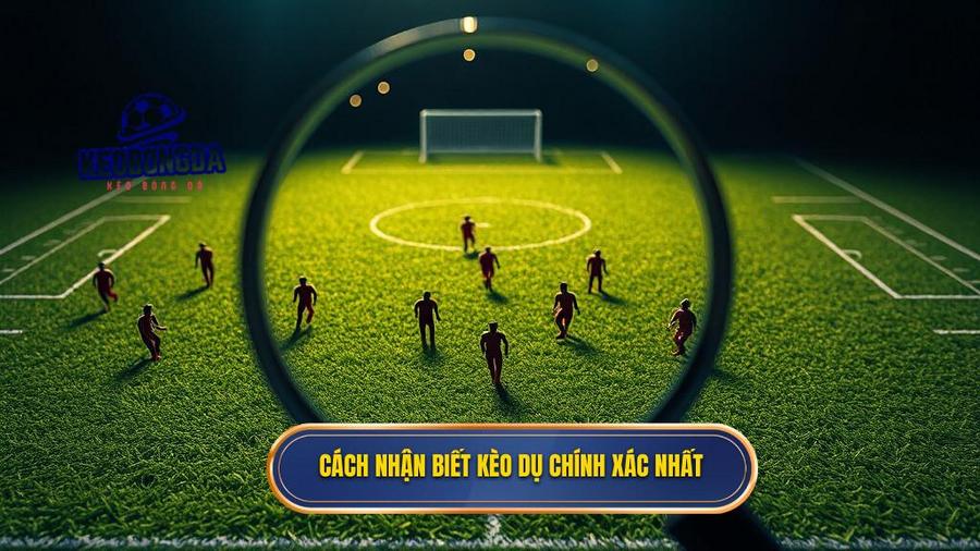 Cách nhận biết kèo bóng đá bị dụ từ nhà cái: Bí quyết để không bao giờ "sa lưới" 2 Cách nhận biết kèo dụ chính xác nhất