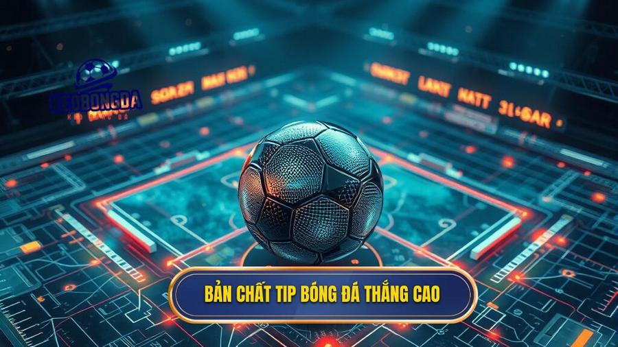 Tip bóng đá thắng cao: Cẩm nang toàn tập để chinh phục mọi nhà cái 1 1. Bản chất tip bóng đá thắng cao