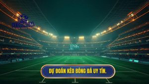 dự đoán kèo bóng đá