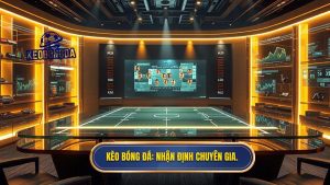 Nhận Định Bóng Đá Chuyên Gia - Phân Tích Kèo Nhà Cái Chính Xác