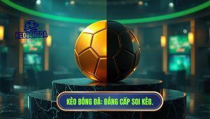 Kèo hiệp 1 thường “dễ ăn” hơn hiệp 2? Bí mật từ KÈO BÓNG ĐÁ