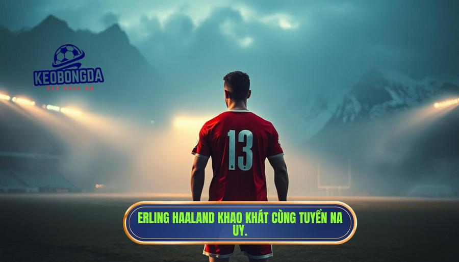 Haaland có cơ hội dự World Cup 2026 không? Phân tích cơ hội của siêu sao Na Uy 1 Bối cảnh đội tuyển Na Uy và khát khao của Erling Haaland