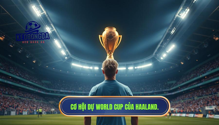Haaland có cơ hội dự World Cup 2026 không? Phân tích cơ hội của siêu sao Na Uy 3 Những yếu tố quyết định Haaland có cơ hội dự World Cup 2026 không